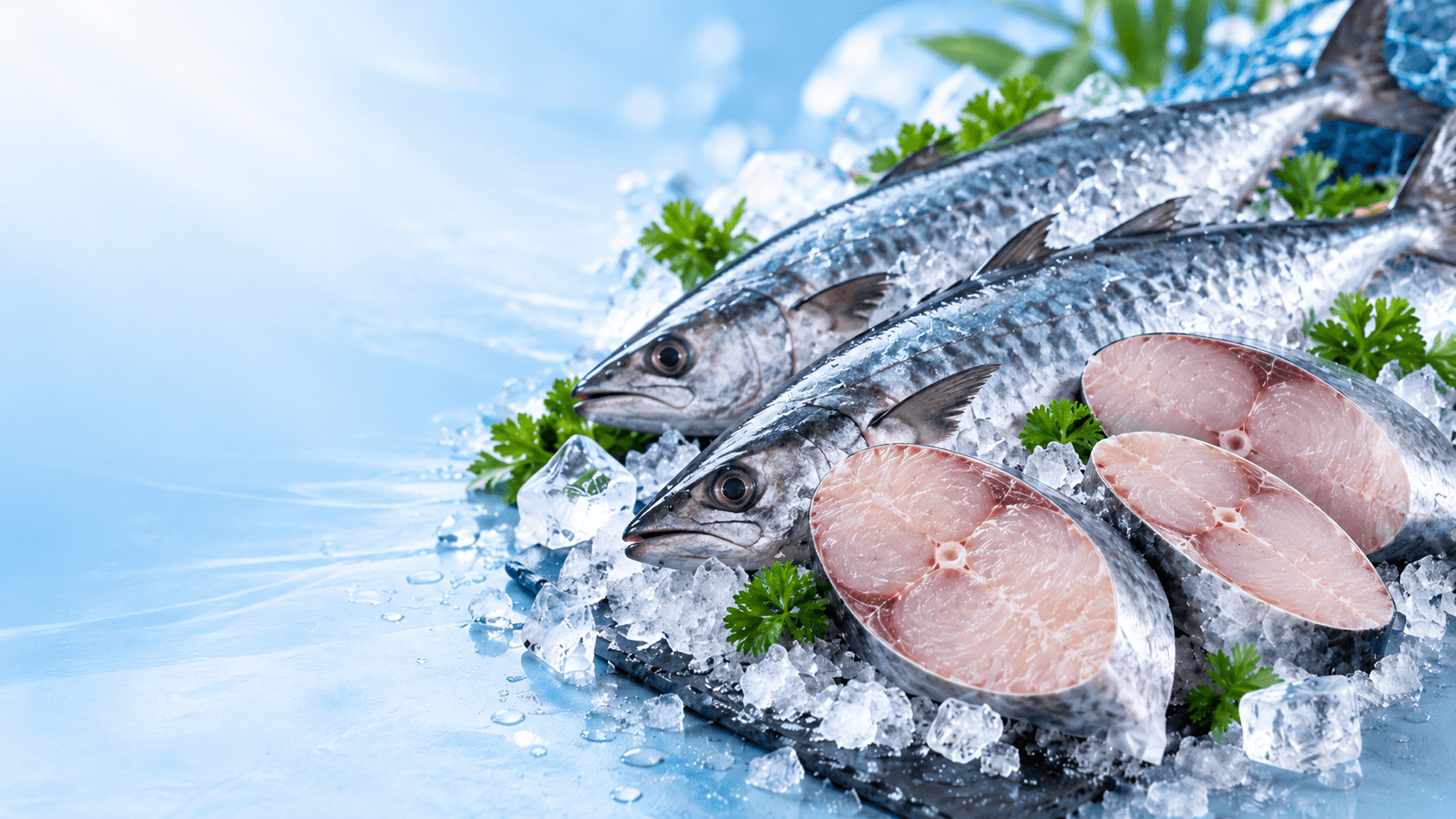 Ikan tenggiri segar dan potongan ikan di atas es